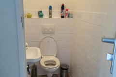 toilet